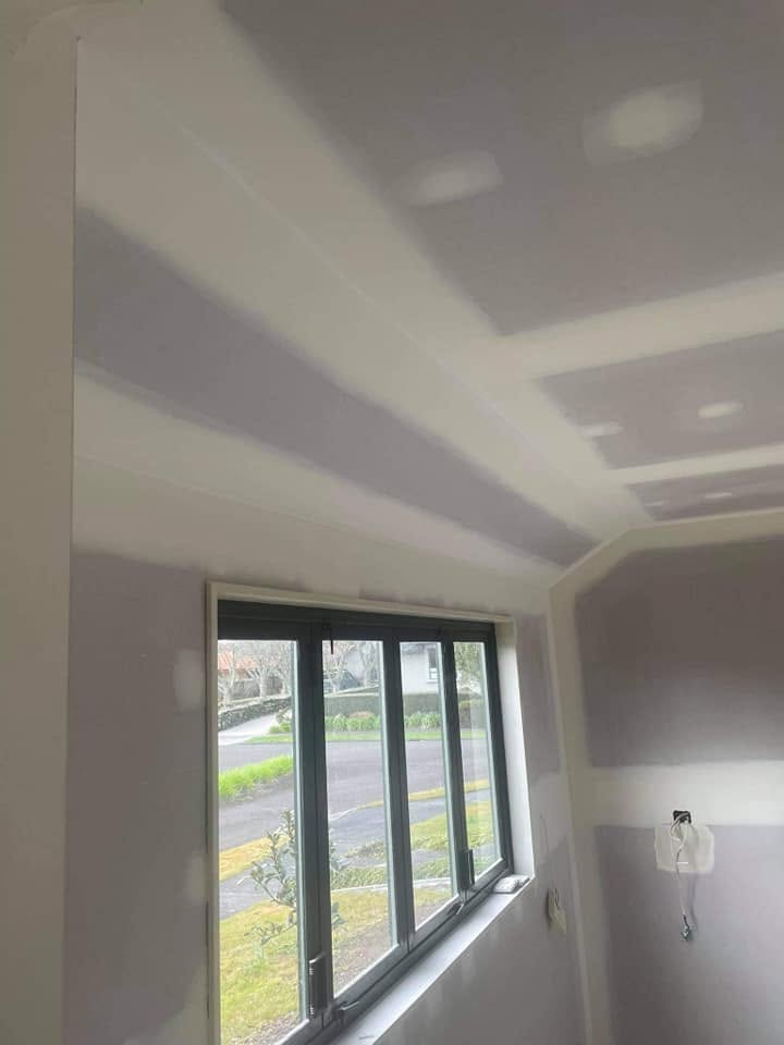 Vaulted-ceiling room freshly stopped by Total Stopping Limited, paper-tape joins visible, light grey walls, rural Waikato view through the window